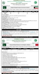 Read more about the article Overseas Employment Corporation Jobs 2026 For Kuwait & Bahrain